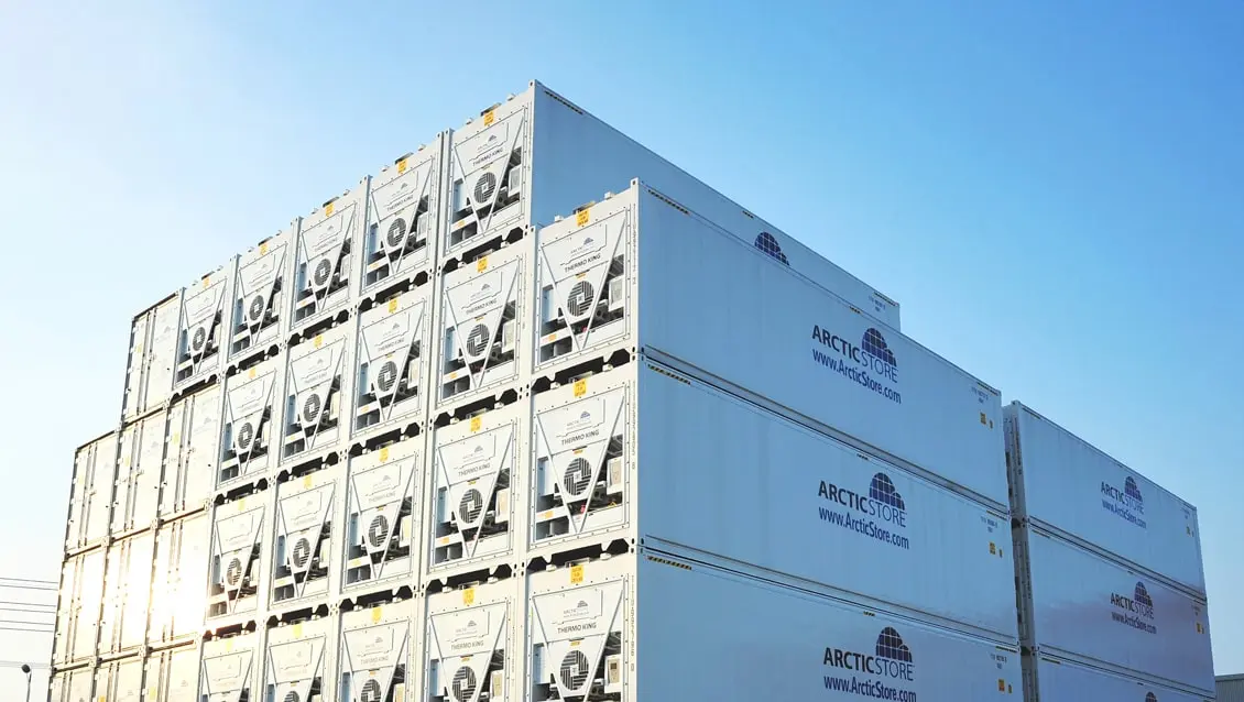 40 fods ArcticStore containere til udlejning - fantastisk køle- og fryselager
