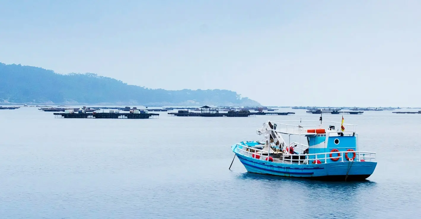 Køleopbevaring til fisk og tun