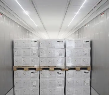 Lights-Container-Accessories